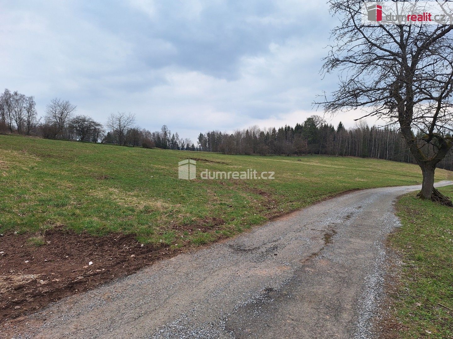 Prodej pozemku 5444 m² - foto 19