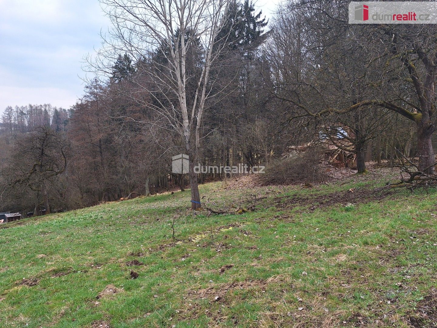 Prodej pozemku 5444 m² - foto 18