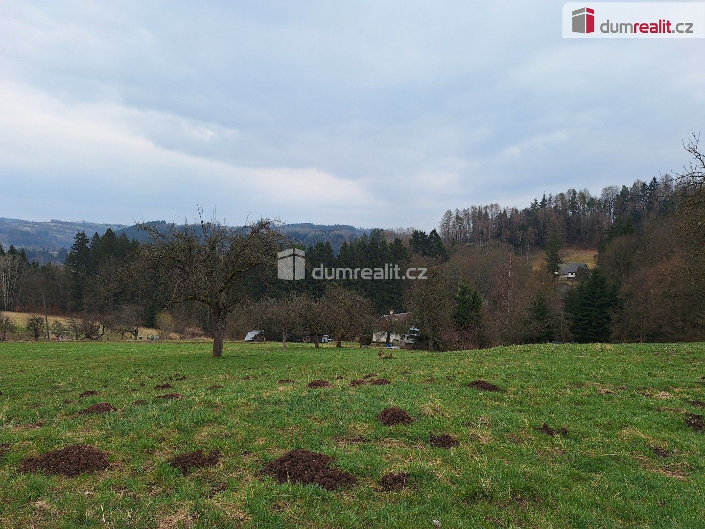 Prodej pozemku 5444 m² - foto 24