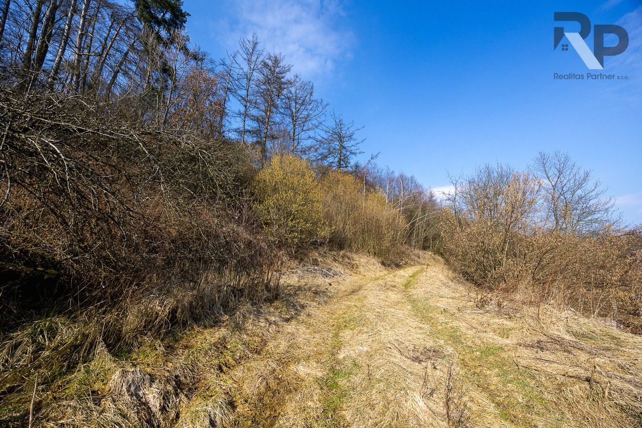 Prodej pozemku 3388 m² - foto 10