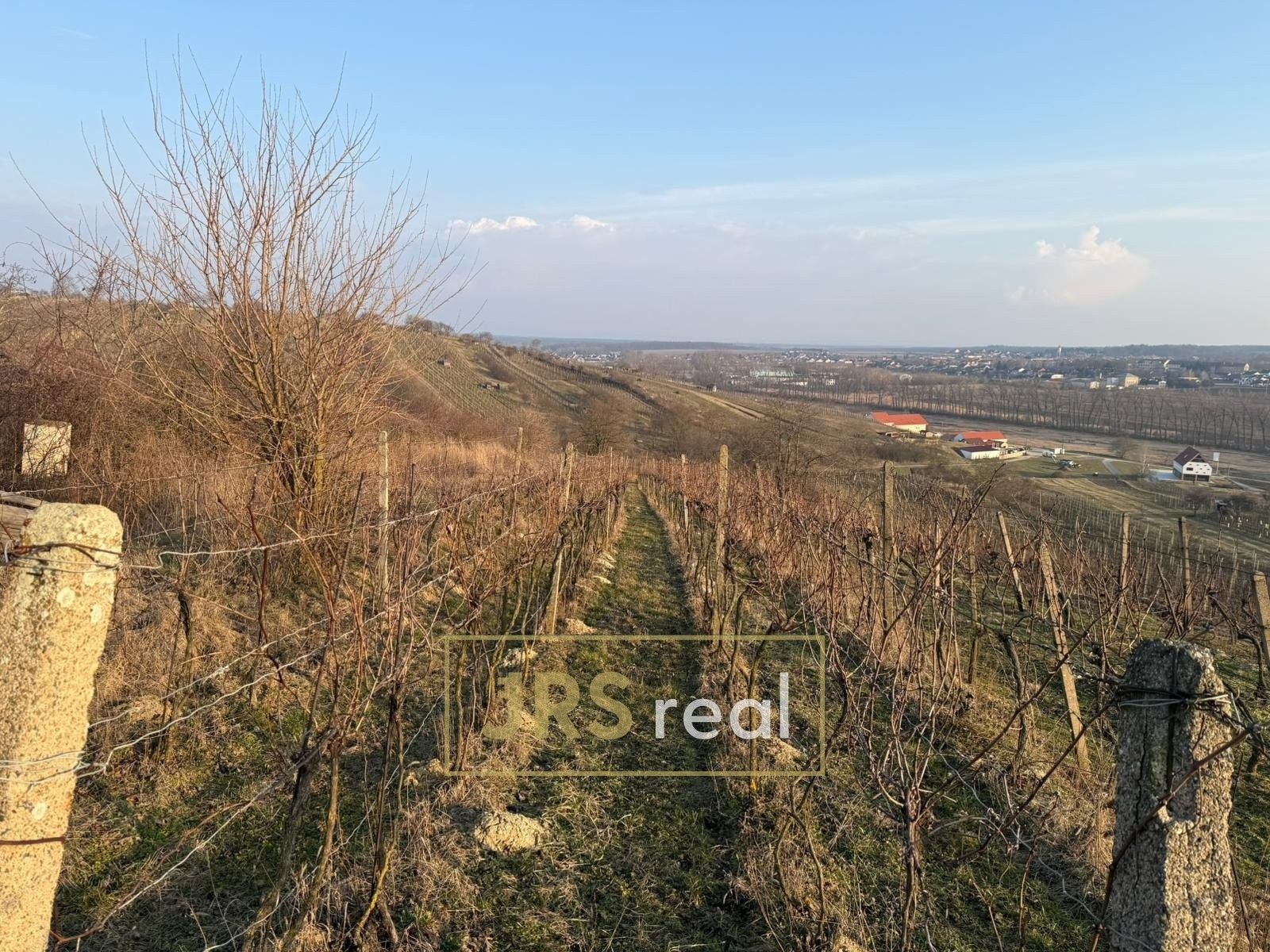 Prodej pozemku 2669 m² - foto 4
