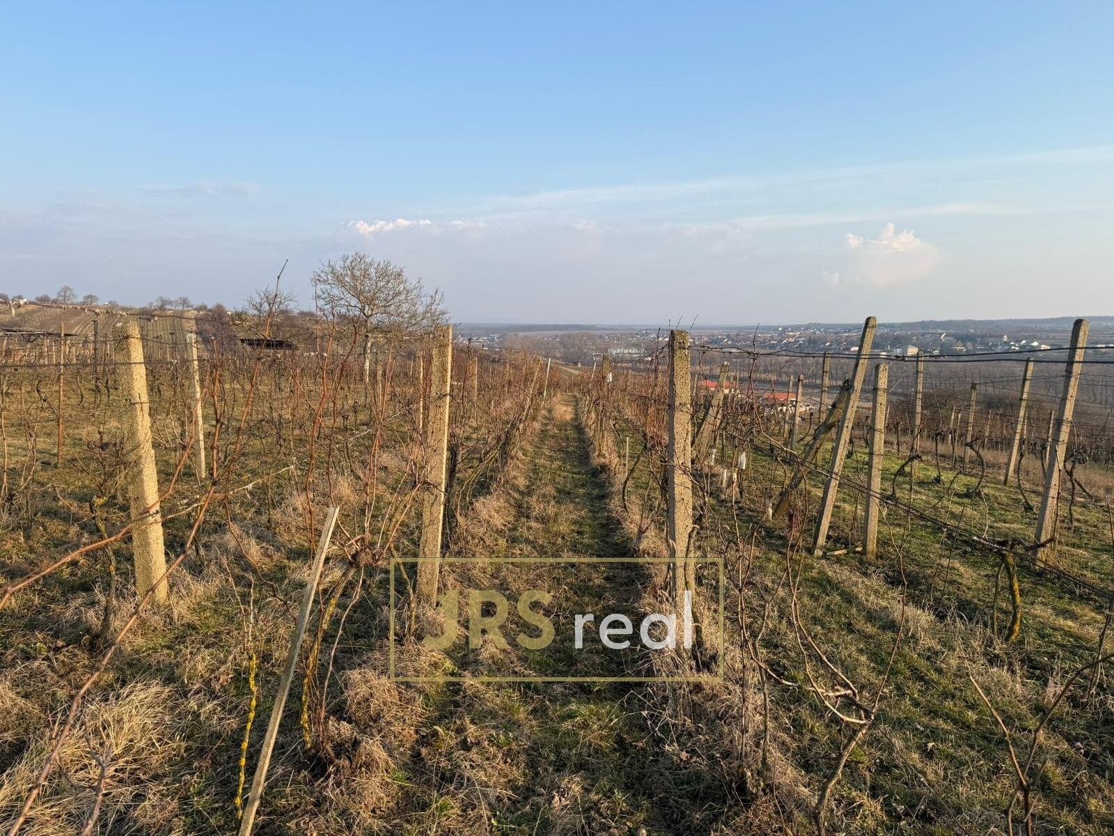Prodej pozemku 2669 m² - foto 2
