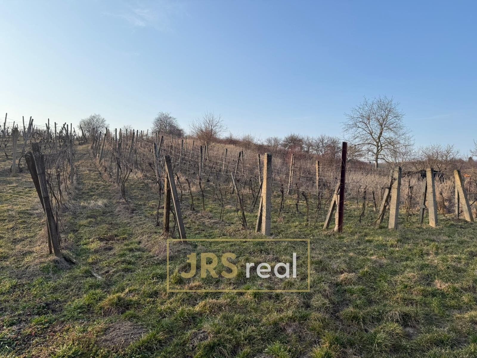 Prodej pozemku 2669 m² - foto 5
