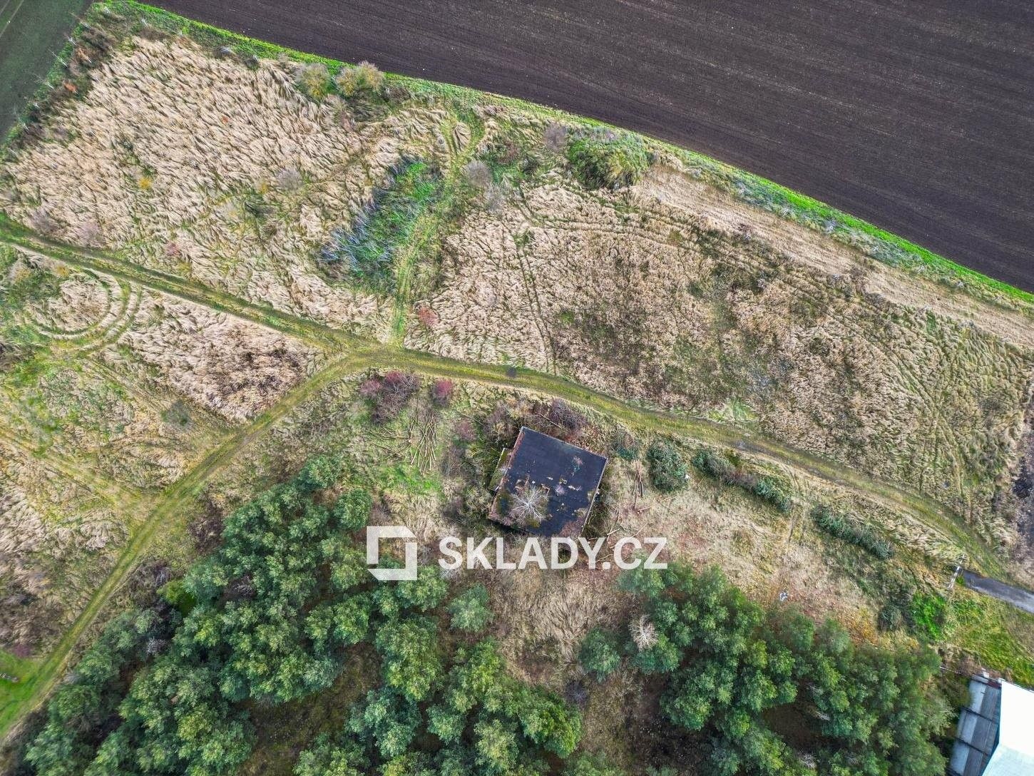 Pronájem pozemku 8000 m² - foto 6