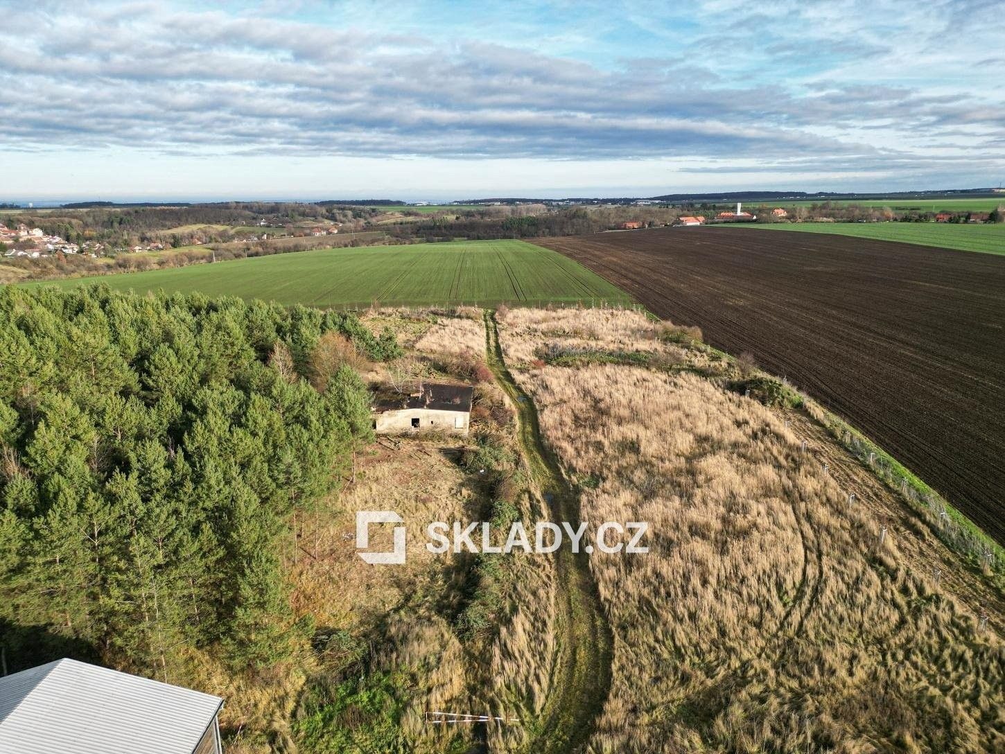 Pronájem pozemku 8000 m² - foto 5