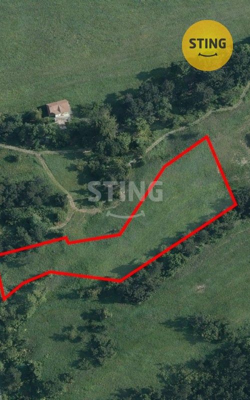 Prodej pozemku 5895 m² - foto 5