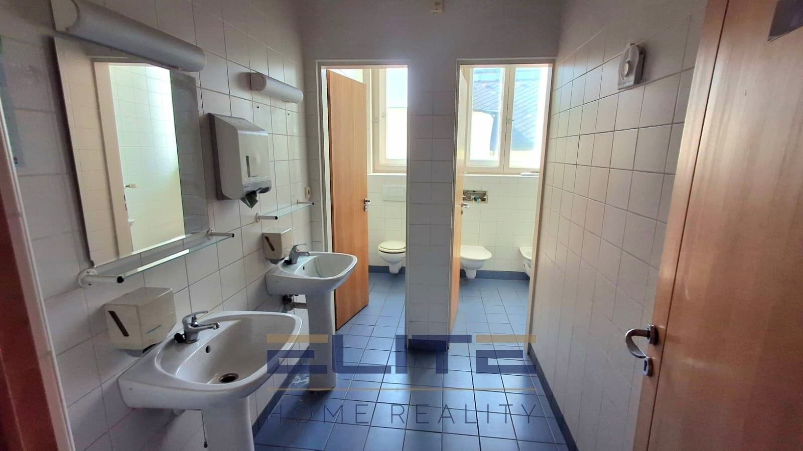 Pronájem komerčního prostoru 775 m² - foto 18