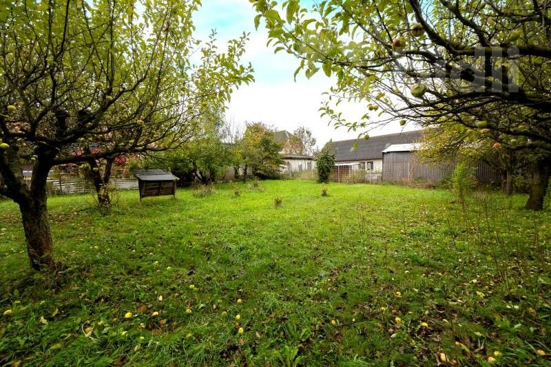 Prodej pozemku 1342 m² - foto 3