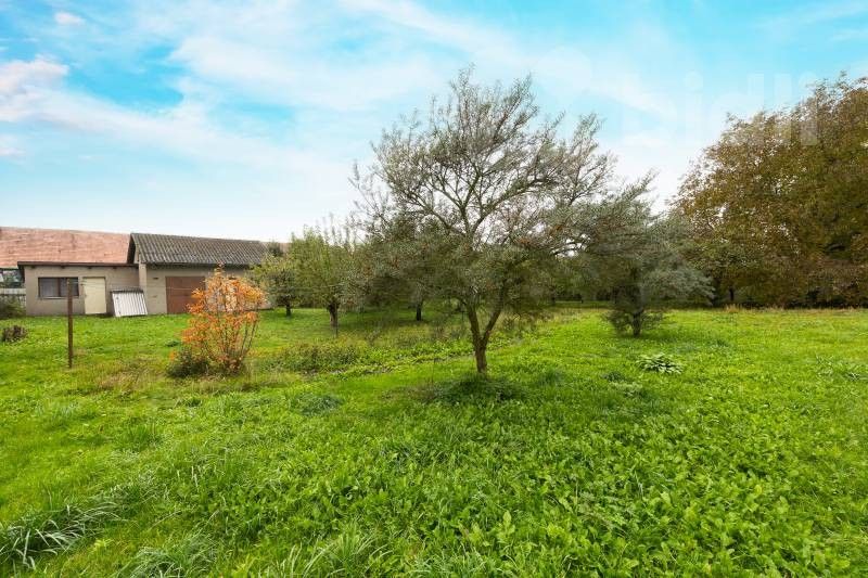 Prodej pozemku 1342 m² - foto 4