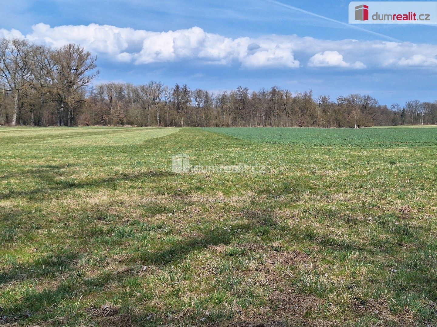 Prodej pozemku 23392 m² - foto 12