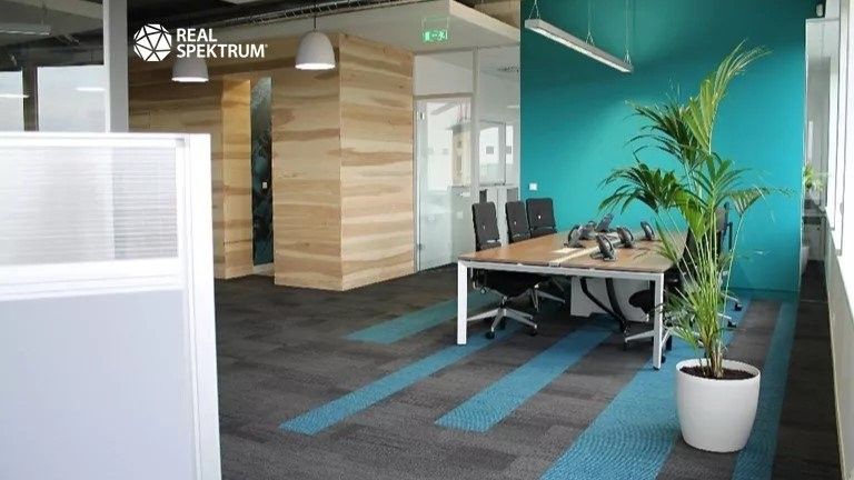 Pronájem komerčního prostoru 539 m² - foto 8