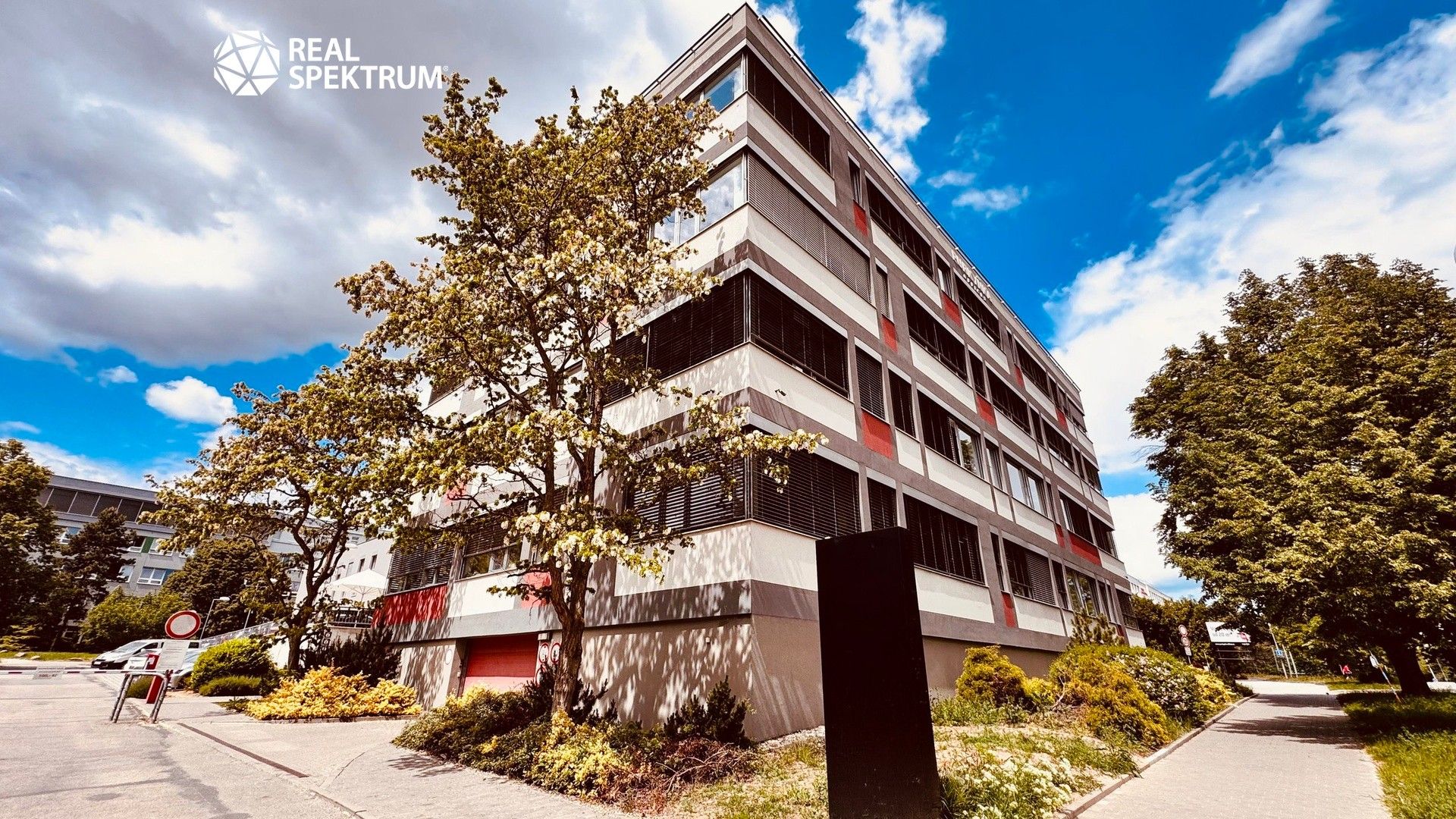 Pronájem komerčního prostoru 539 m² - foto 1