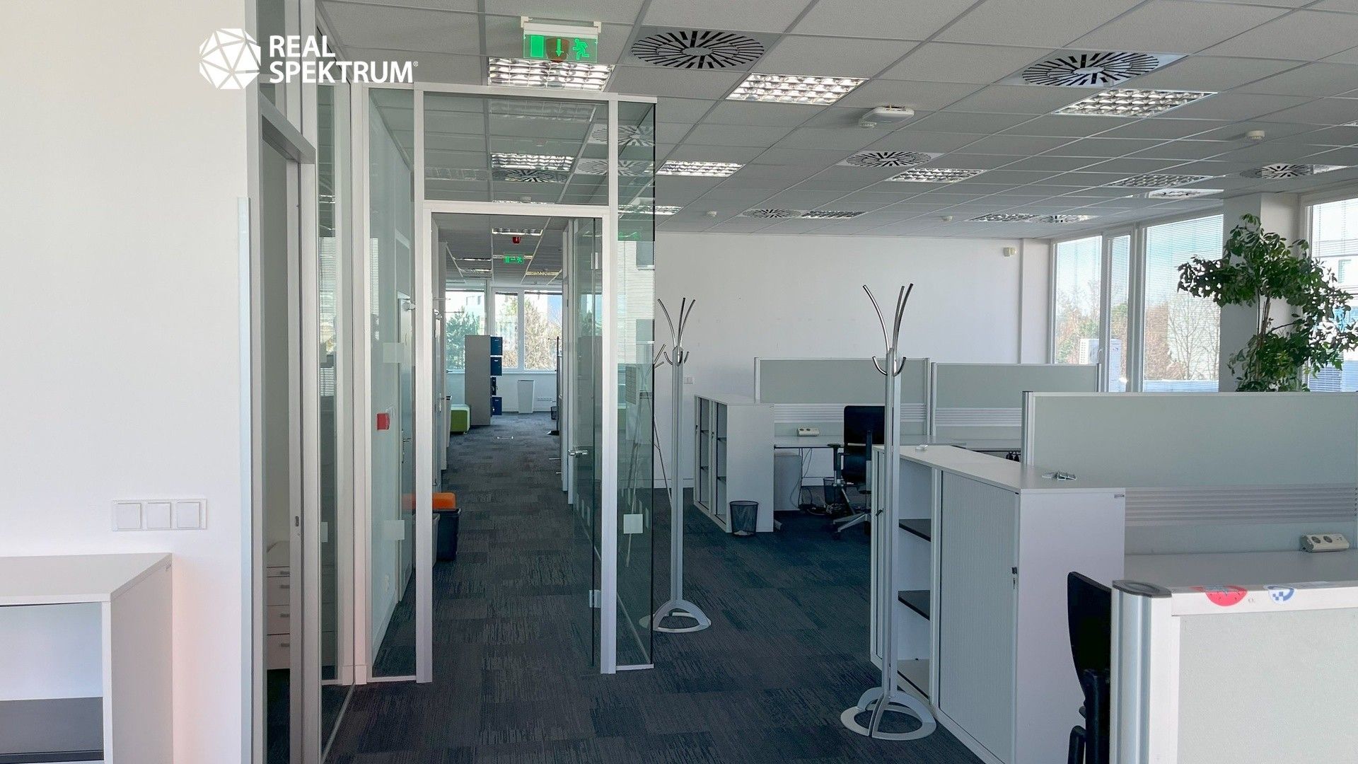 Pronájem komerčního prostoru 539 m² - foto 14