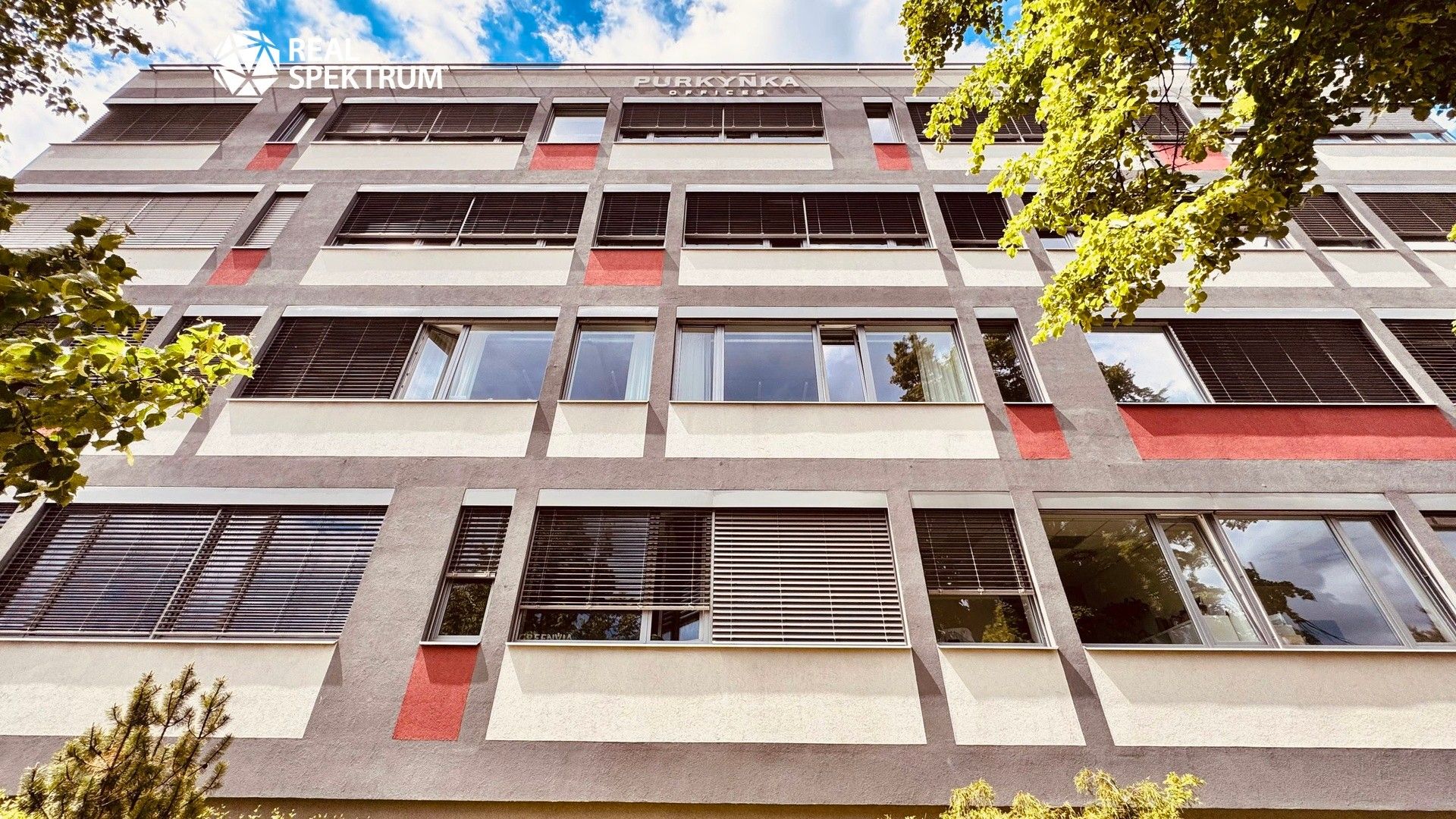 Pronájem komerčního prostoru 539 m² - foto 15