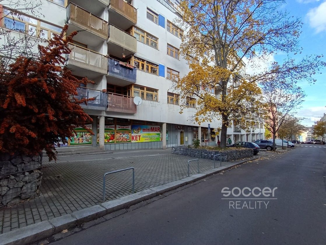 Pronájem bytu 1+kk 40 m² - foto 10