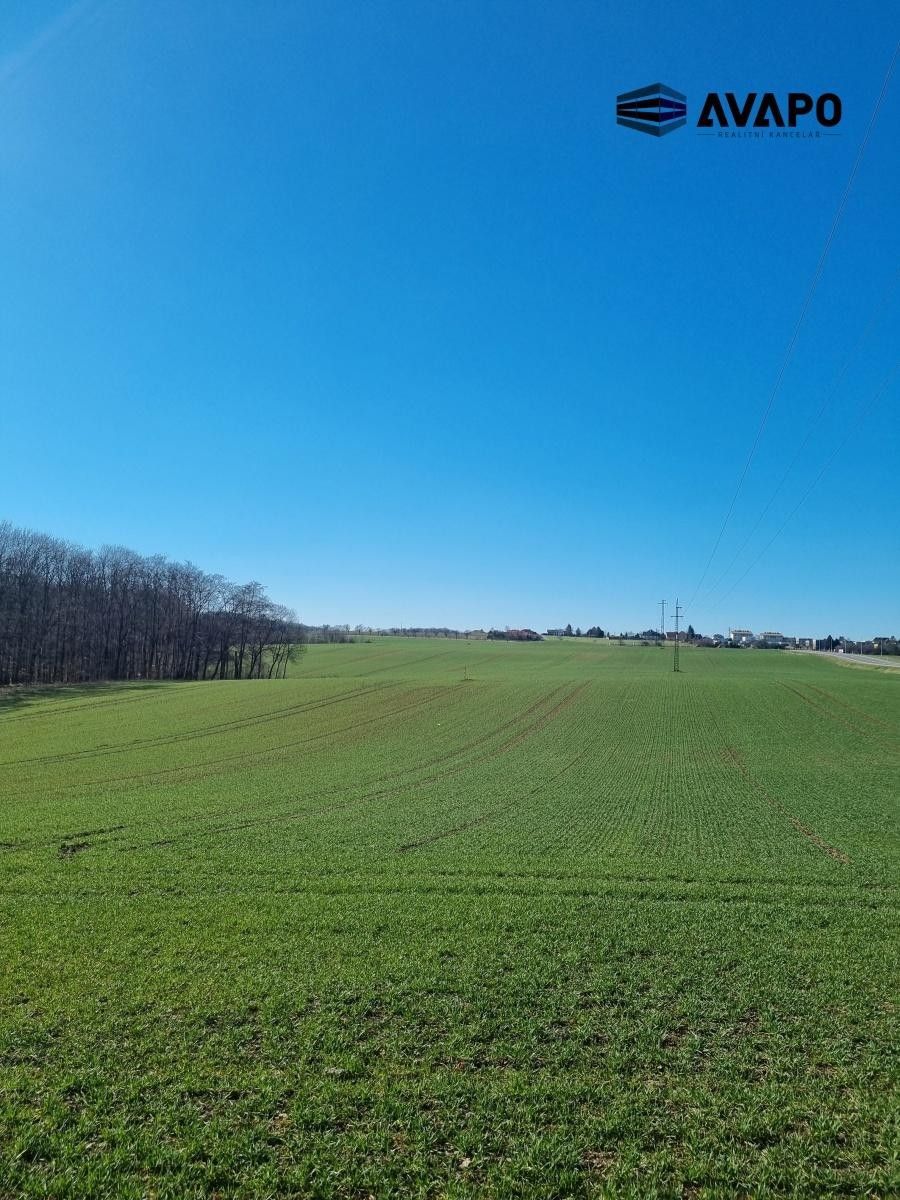 Prodej pozemku 17432 m² - foto 4