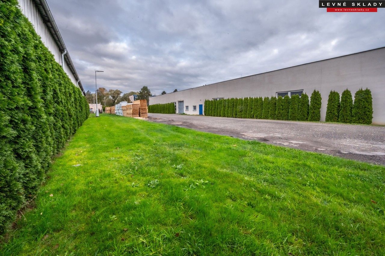 Pronájem komerčního prostoru 3000 m² - foto 6