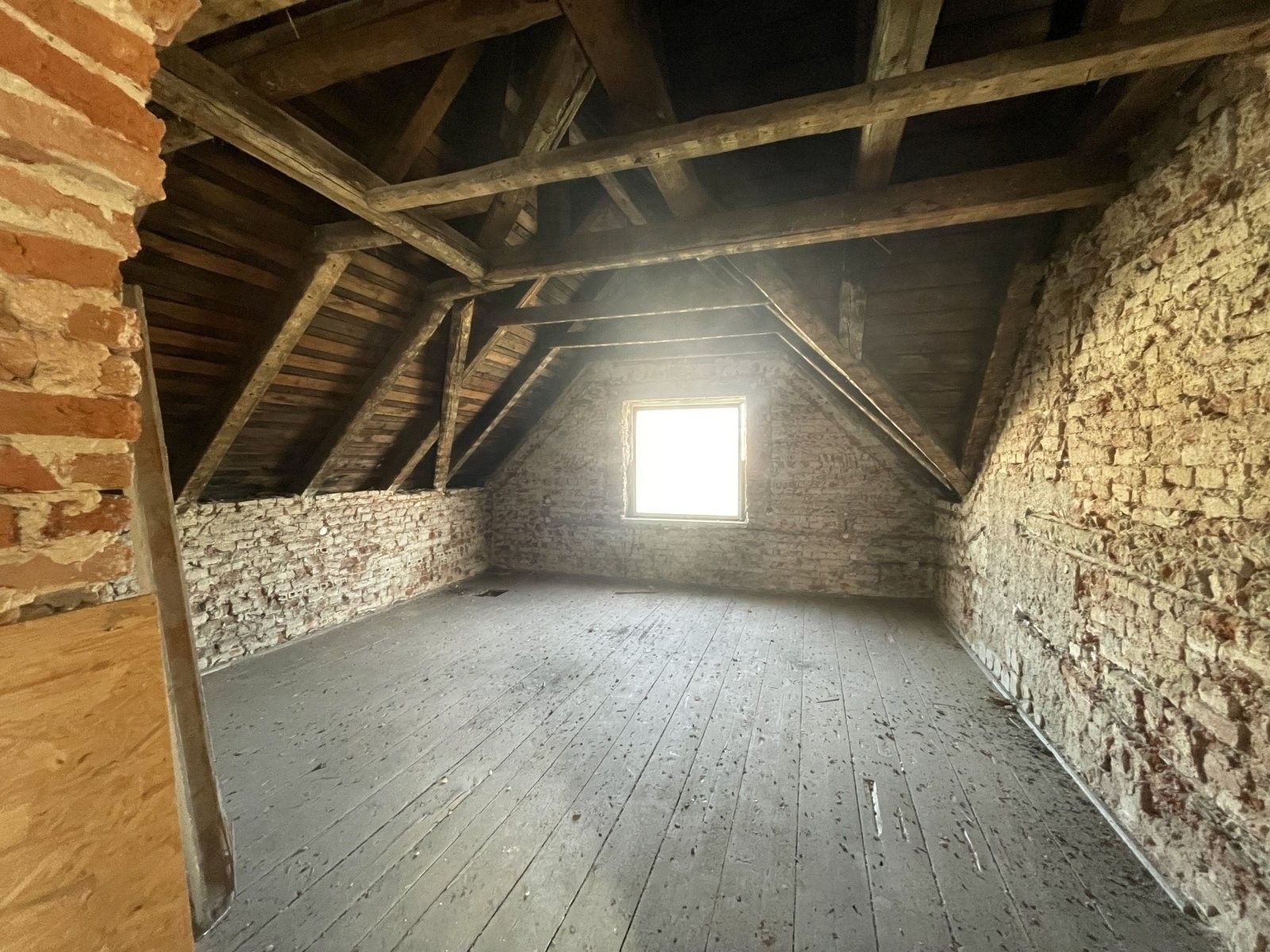 Prodej komerčního prostoru 1000 m² - foto 10