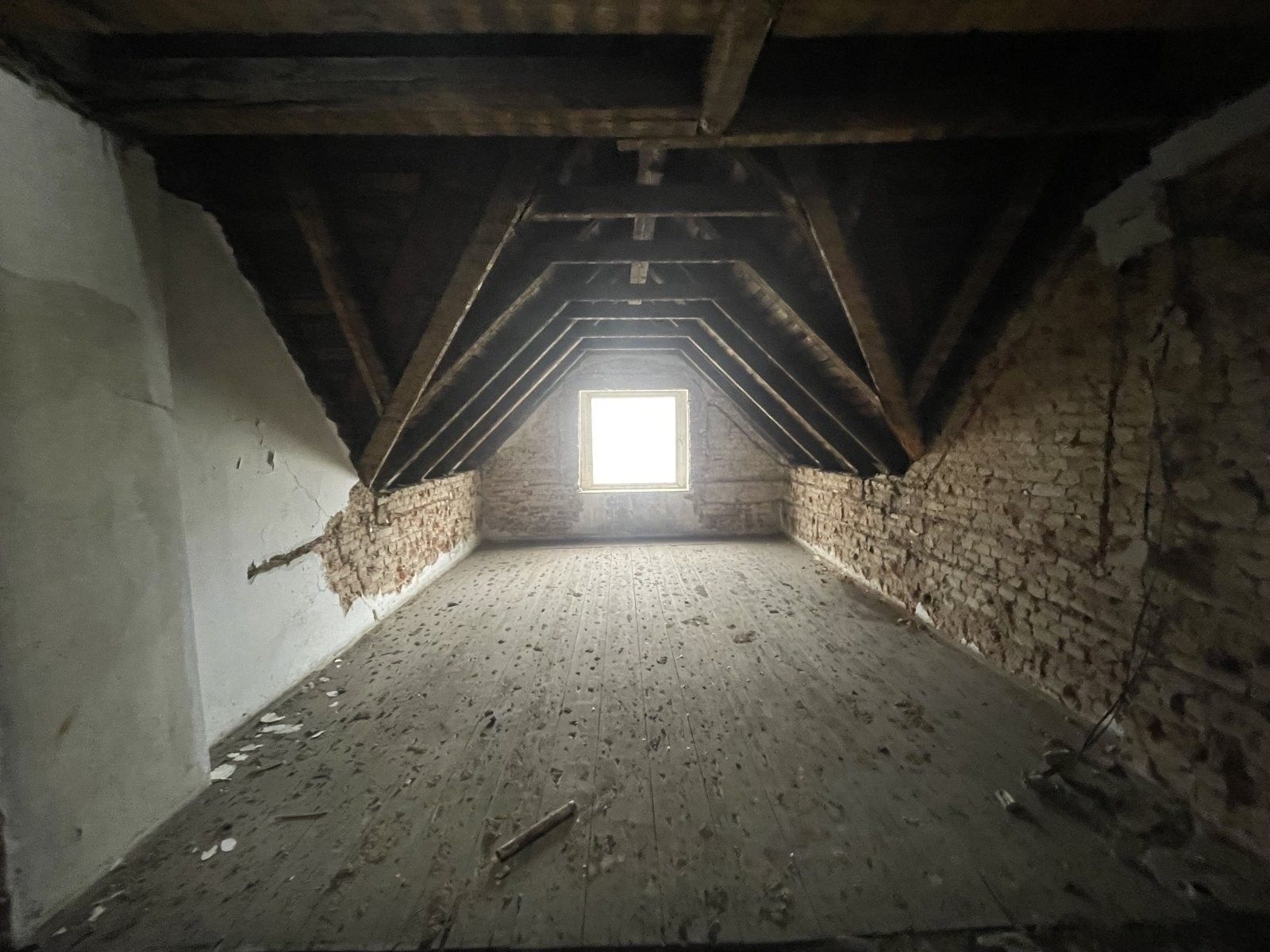 Prodej komerčního prostoru 1000 m² - foto 13