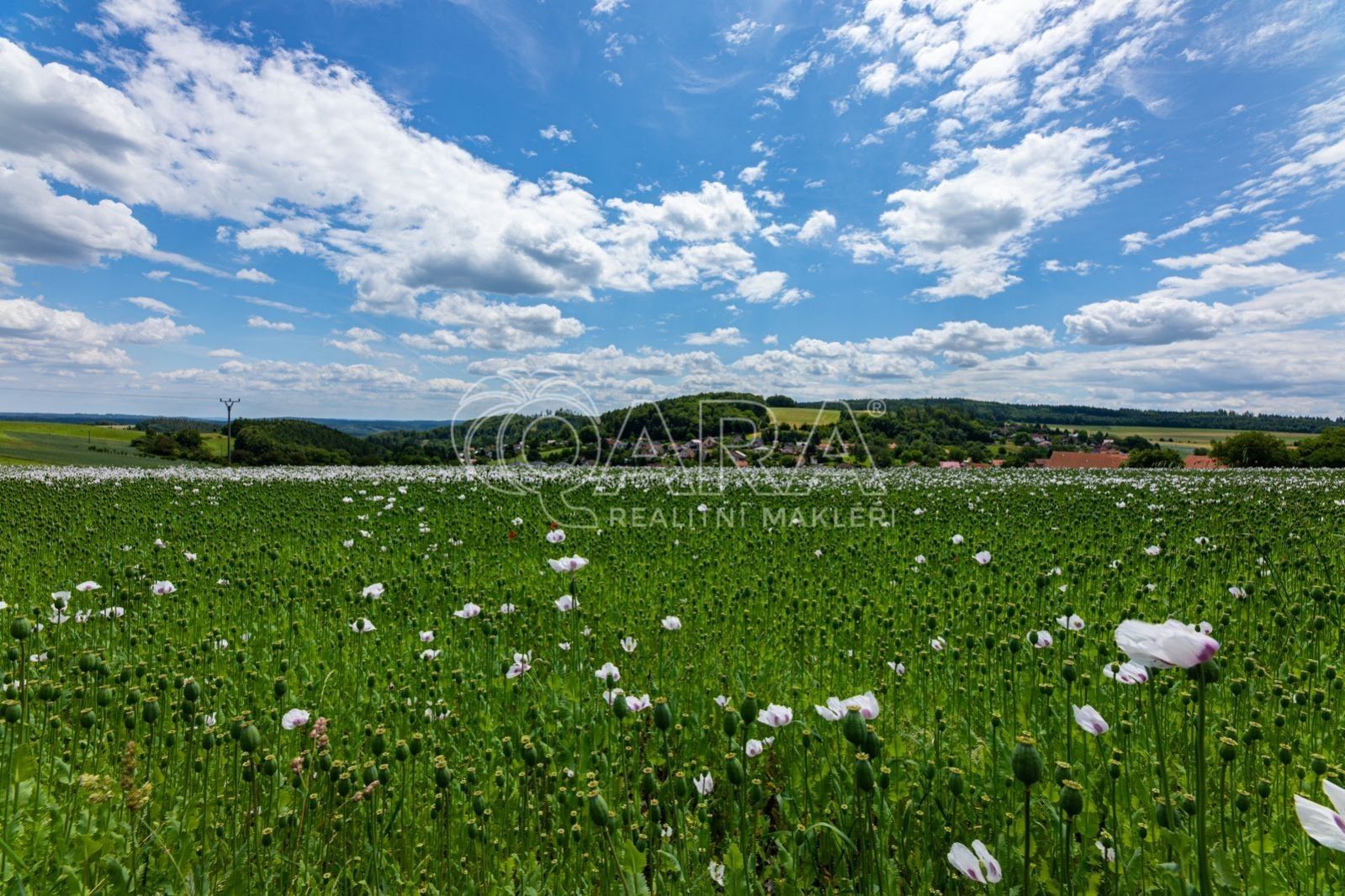 Prodej pozemku 431 m² - foto 23