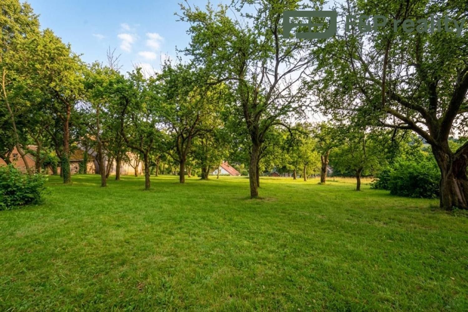 Prodej pozemku 1000 m² - foto 4