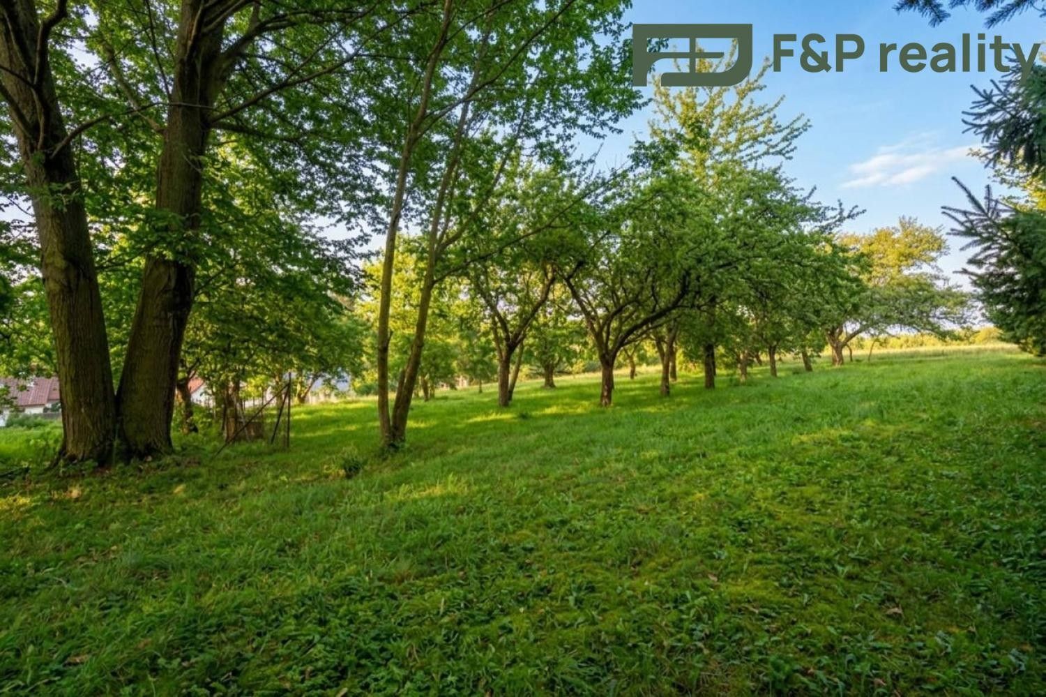 Prodej pozemku 1000 m² - foto 1