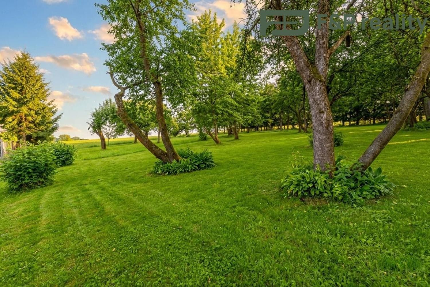 Prodej pozemku 1000 m² - foto 3