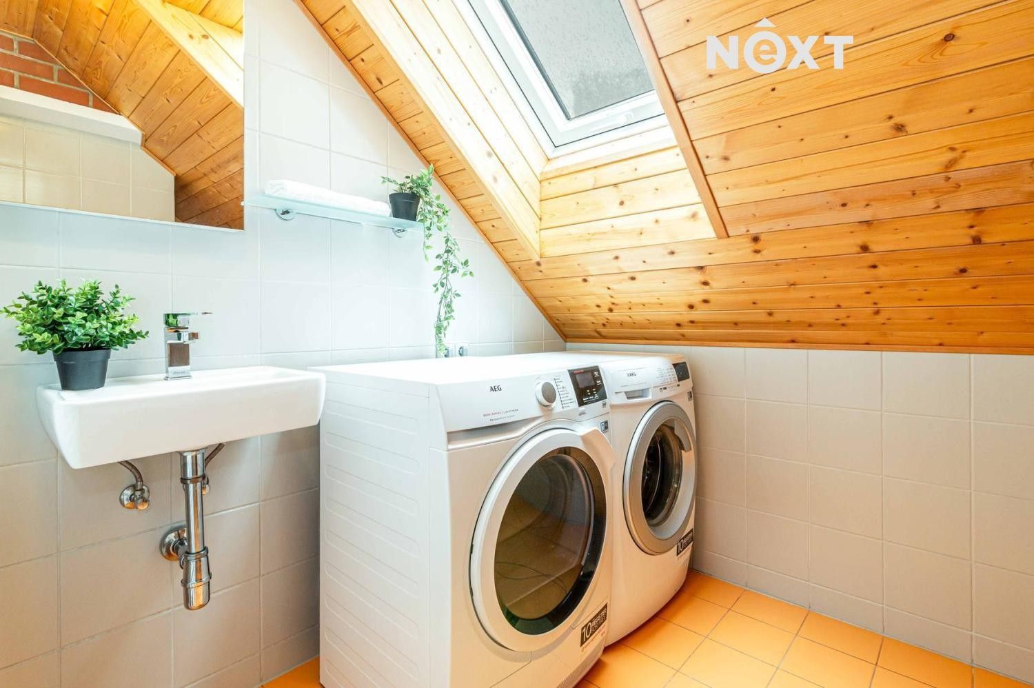 Prodej nemovitosti 538 m² - foto 6