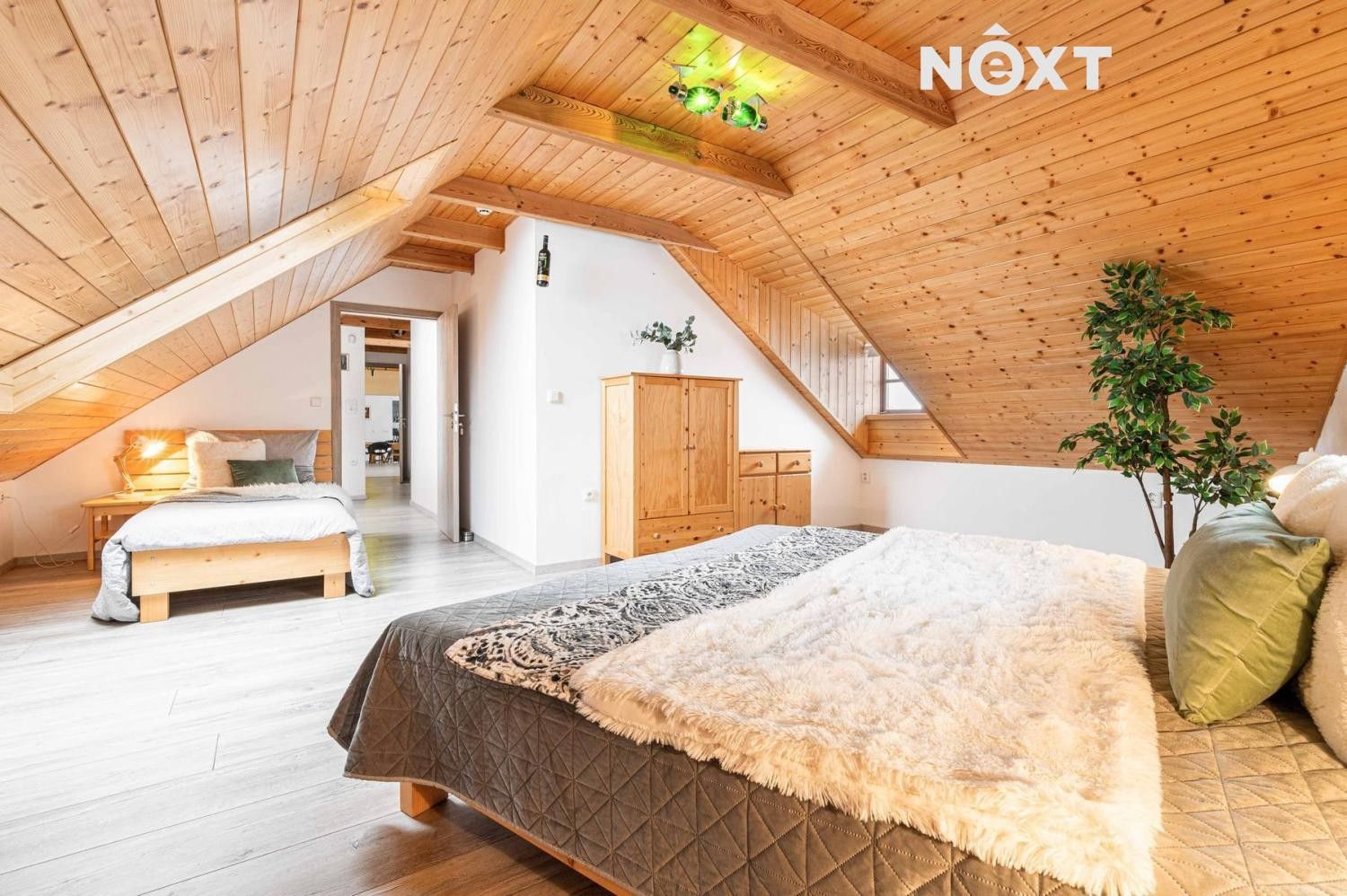 Prodej nemovitosti 538 m² - foto 5