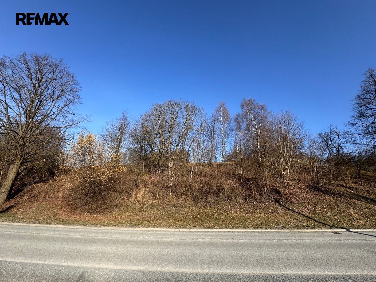 Prodej pozemku 4000 m² - foto 2
