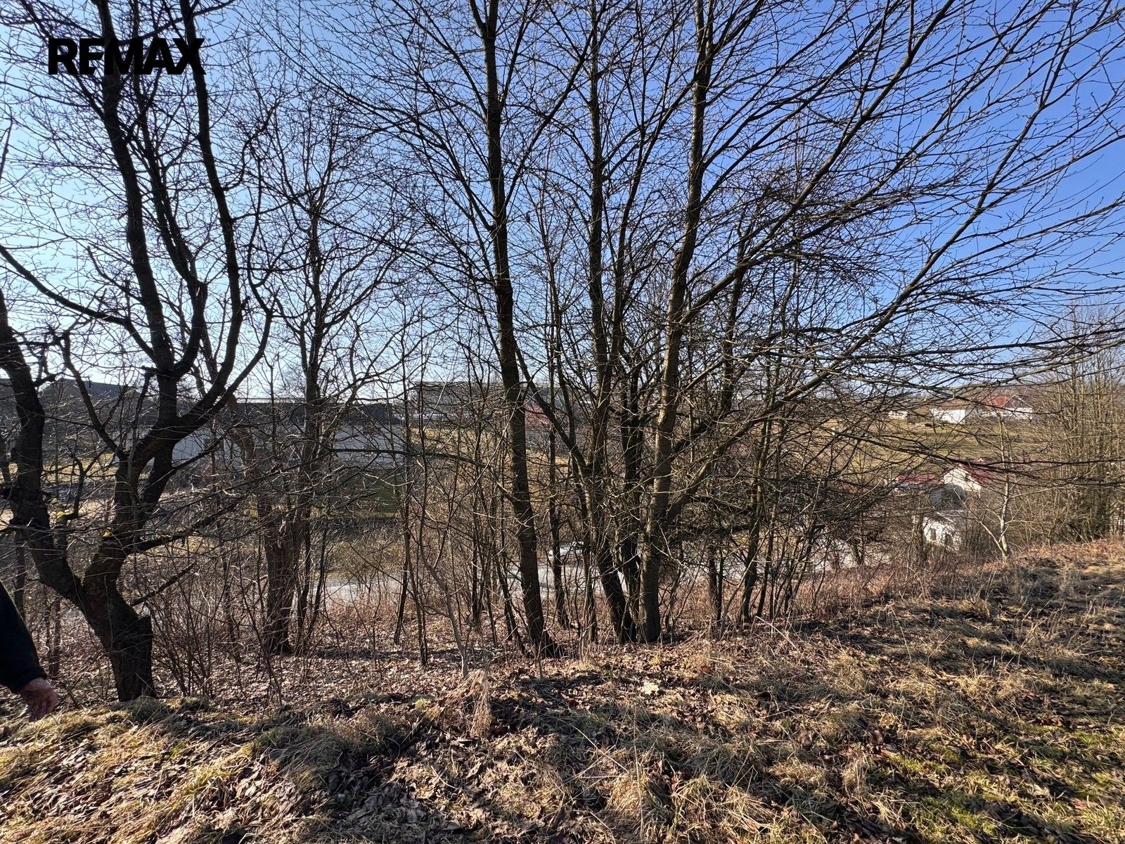Prodej pozemku 4000 m² - foto 6