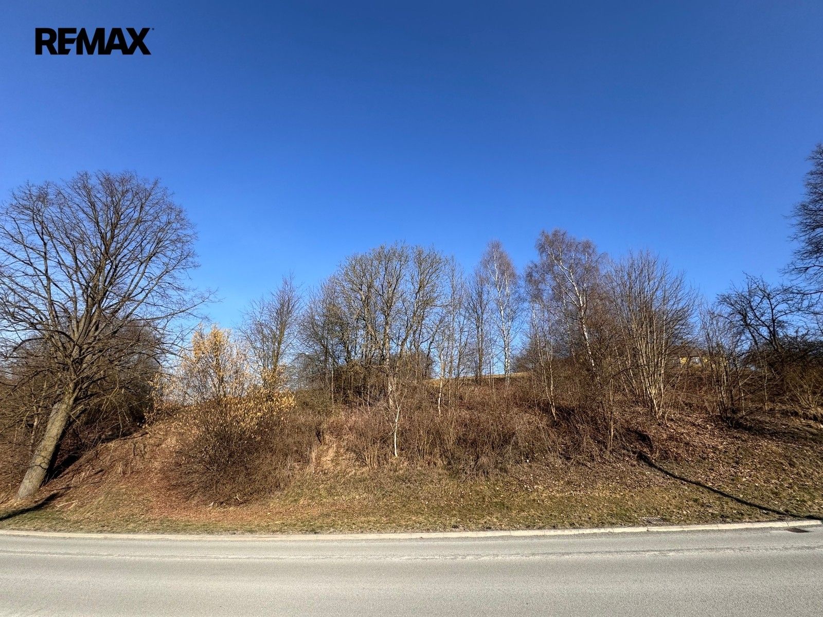 Prodej pozemku 4000 m² - foto 7