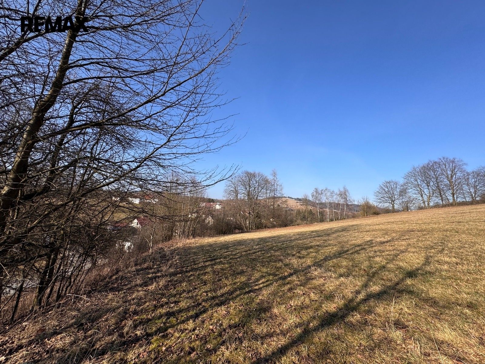 Prodej pozemku 4000 m² - foto 5