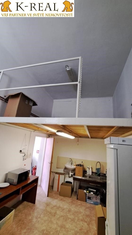 Pronájem komerčního prostoru 77 m² - foto 14