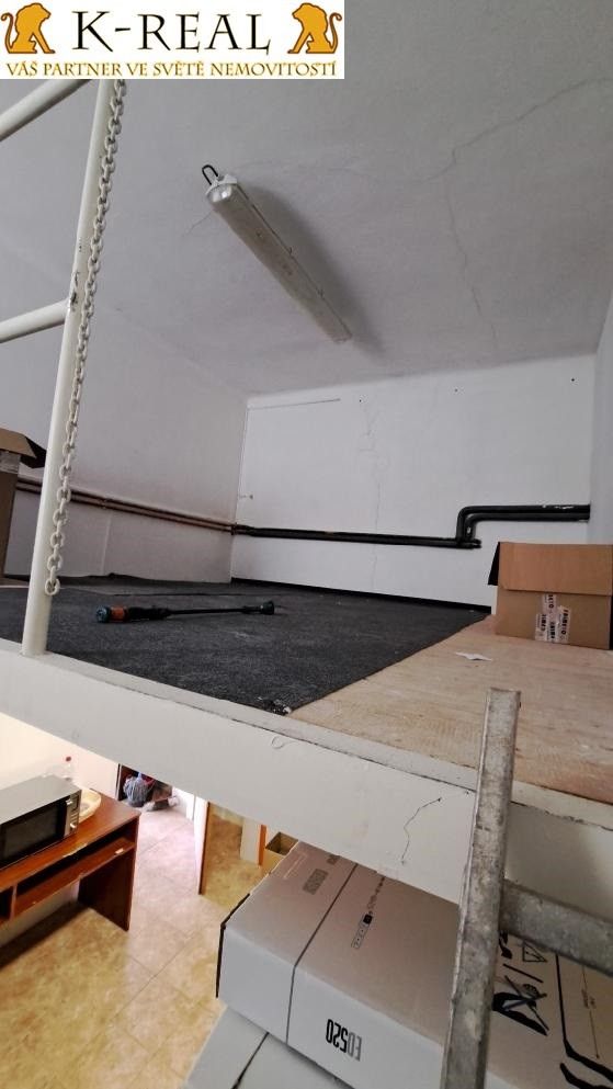 Pronájem komerčního prostoru 77 m² - foto 15