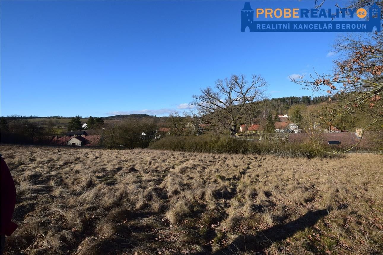 Prodej pozemku 9991 m² - foto 10