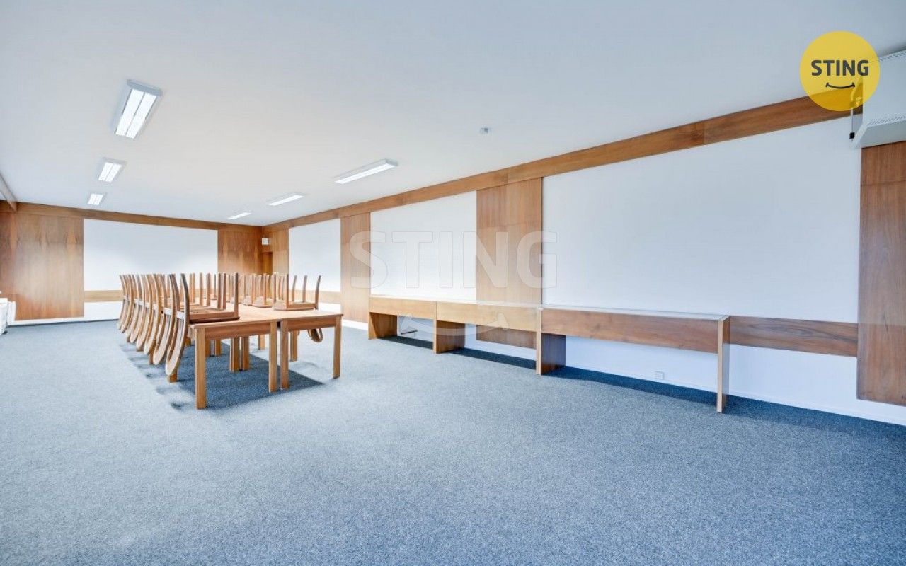 Pronájem komerčního prostoru 300 m² - foto 7