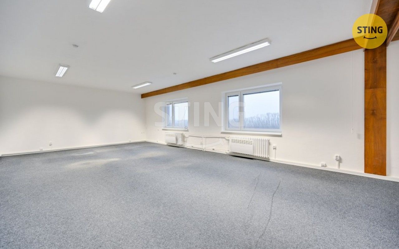 Pronájem komerčního prostoru 300 m² - foto 10