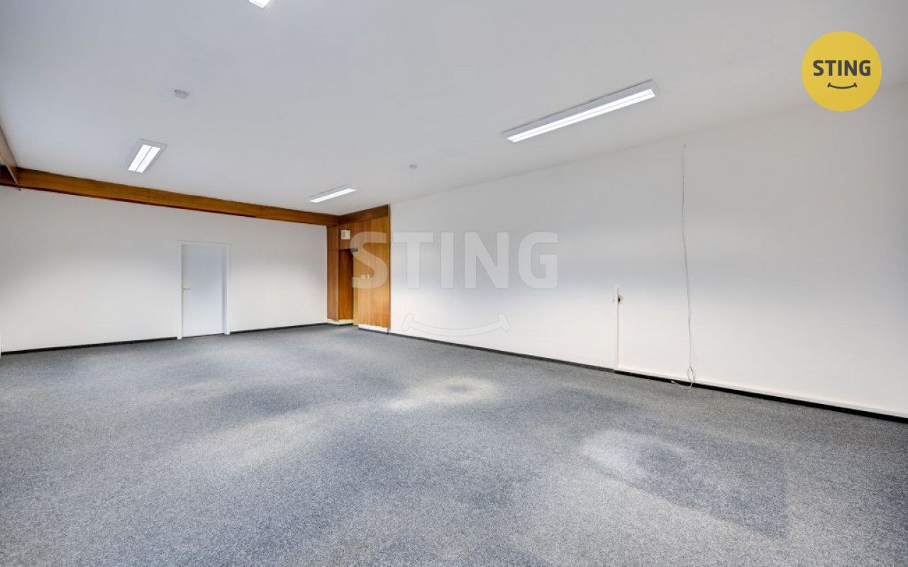 Pronájem komerčního prostoru 300 m² - foto 11