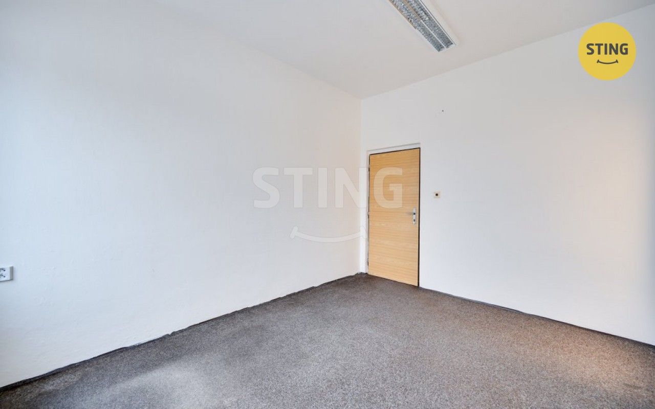 Pronájem komerčního prostoru 300 m² - foto 14