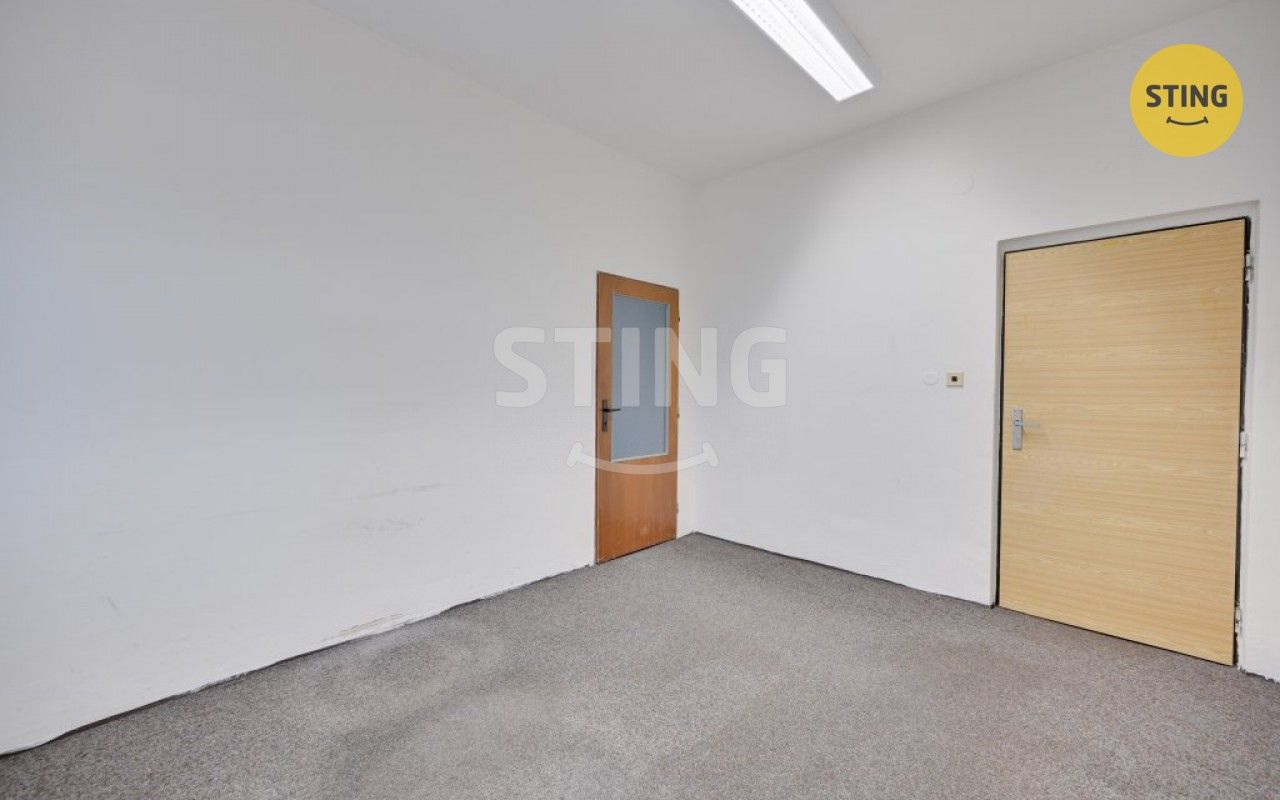 Pronájem komerčního prostoru 300 m² - foto 16
