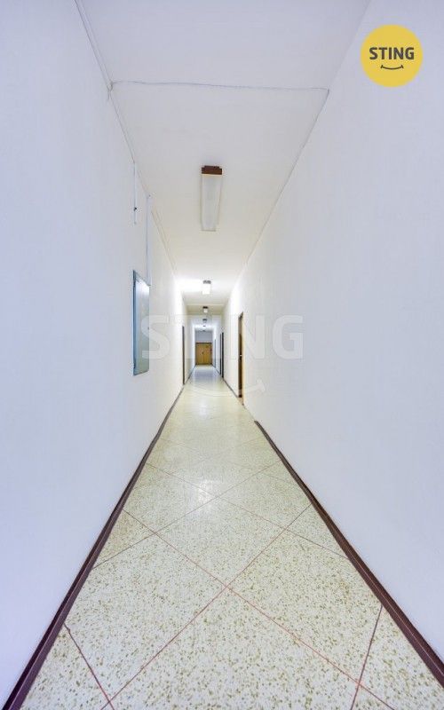 Pronájem komerčního prostoru 300 m² - foto 19