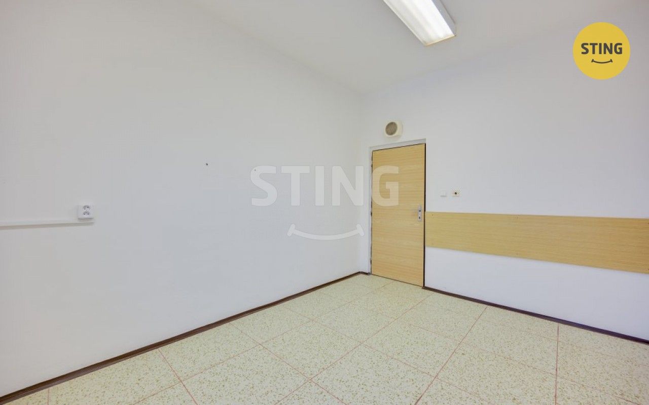 Pronájem komerčního prostoru 300 m² - foto 18
