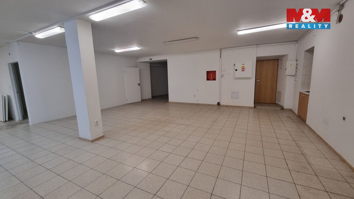 Pronájem komerčního prostoru 230 m² - foto 10