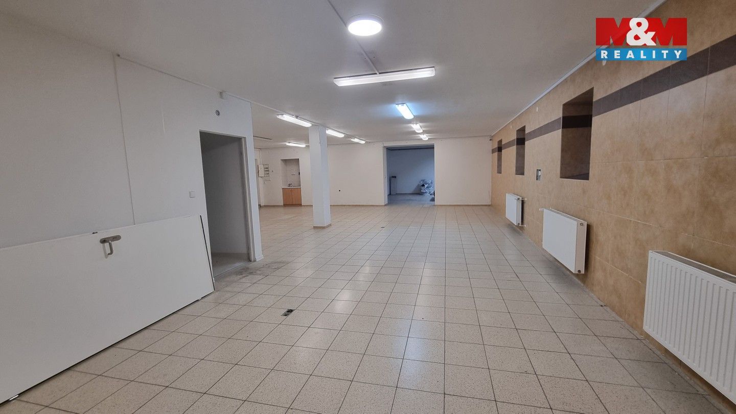 Pronájem komerčního prostoru 230 m² - foto 11