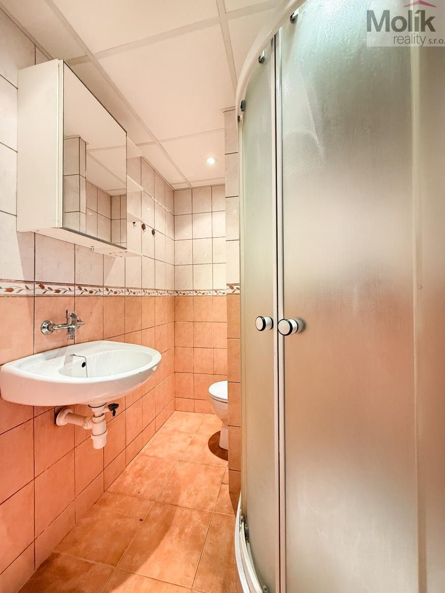 Pronájem bytu 1+kk 22 m² - foto 5