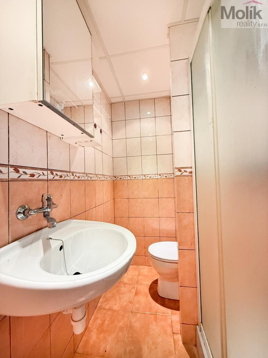Pronájem bytu 1+kk 22 m² - foto 4