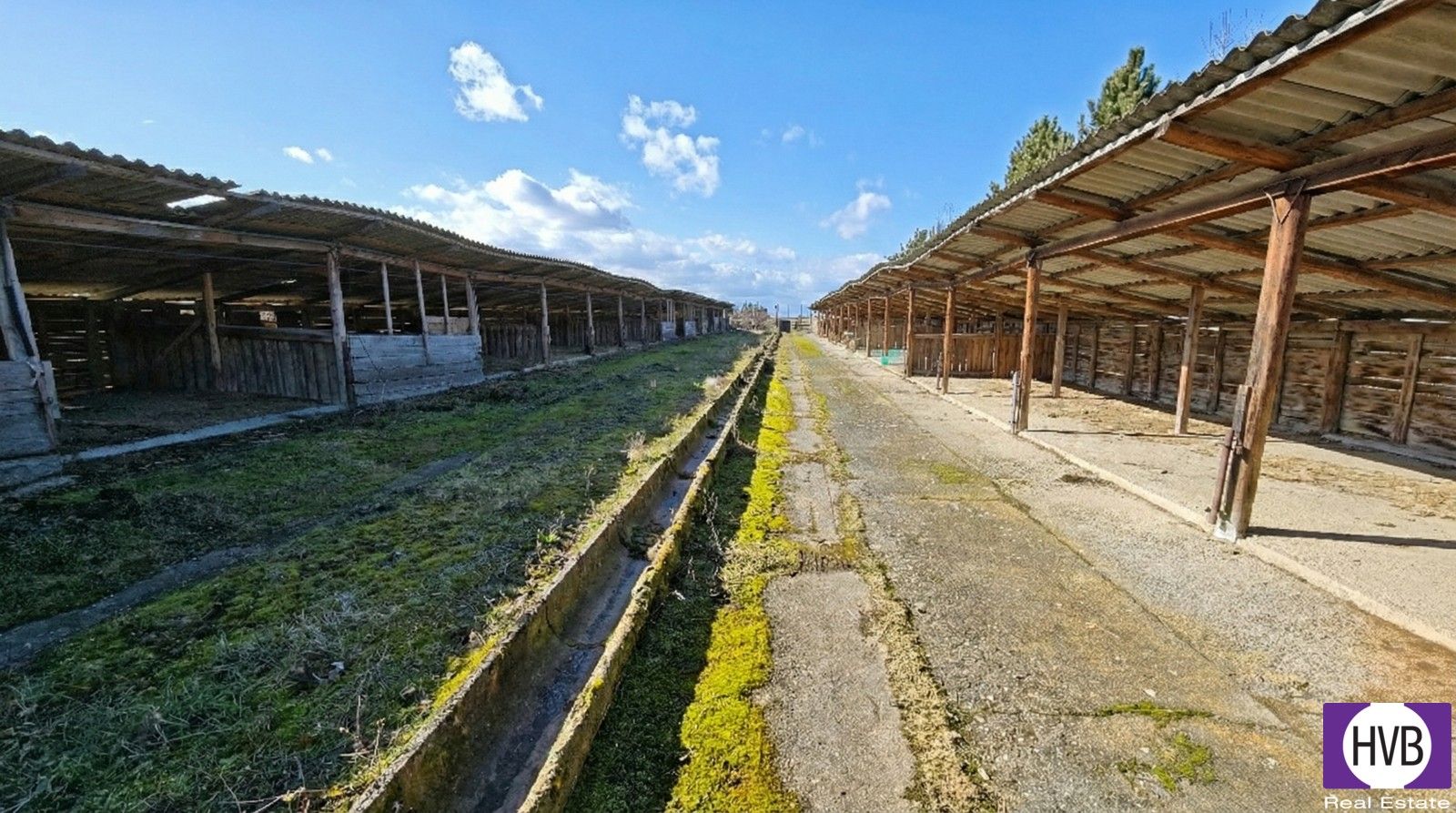 Prodej pozemku 6493 m² - foto 6