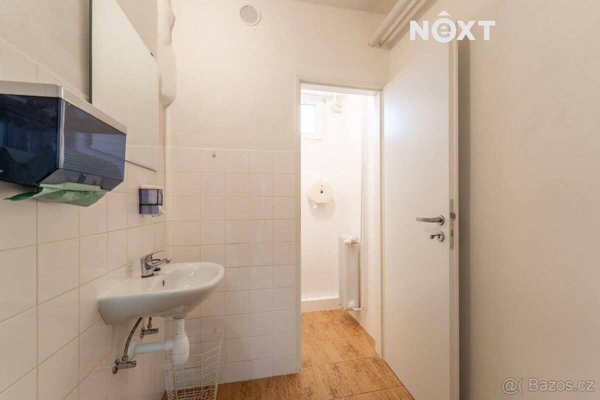 Pronájem komerčního prostoru - foto 13
