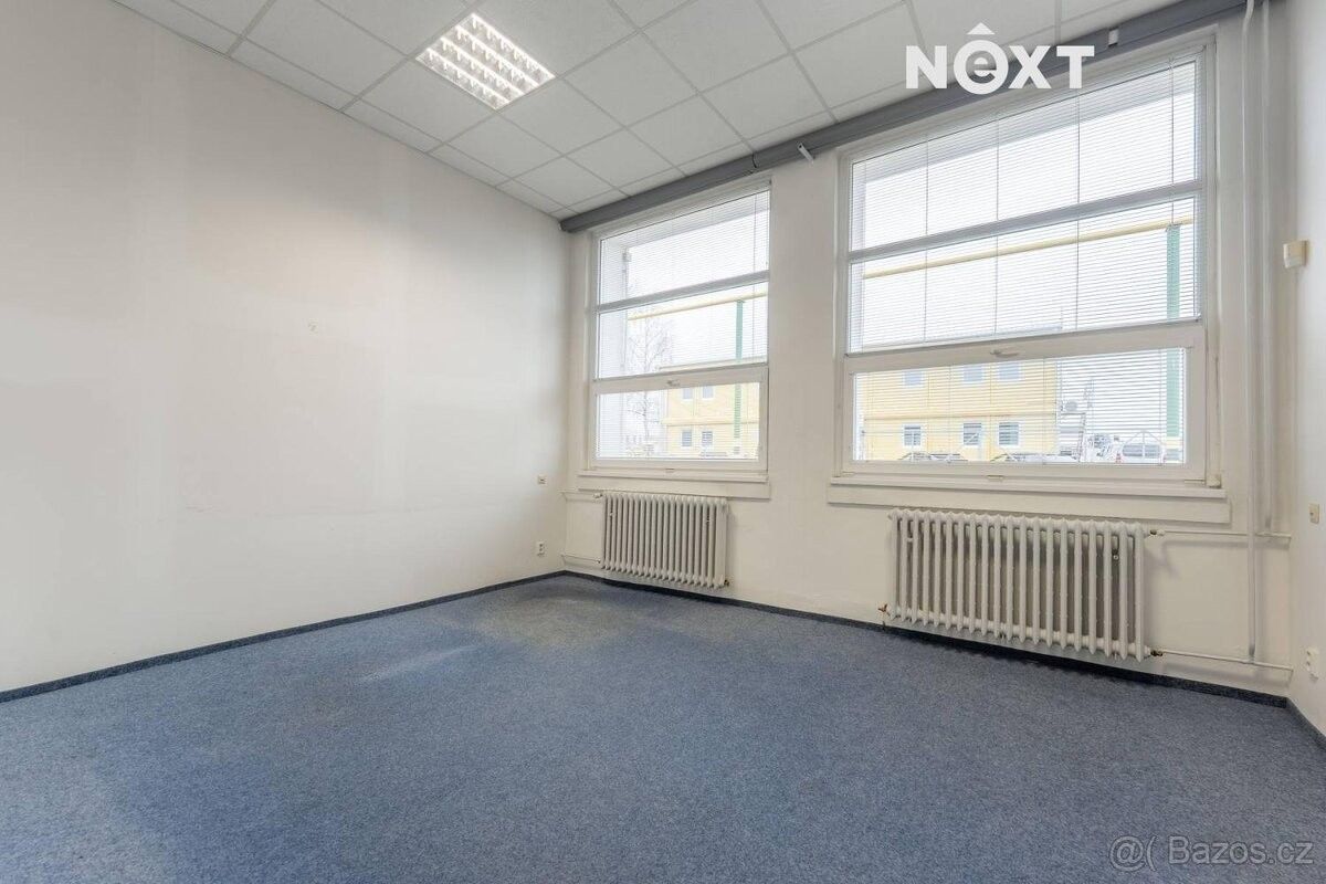 Pronájem komerčního prostoru - foto 15